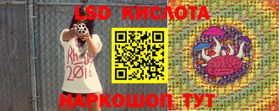 ALPHA PVP Малгобек