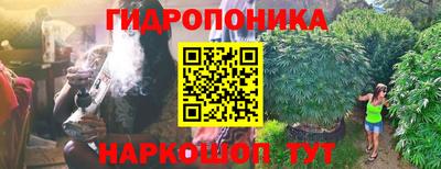 спиды Долгопрудный