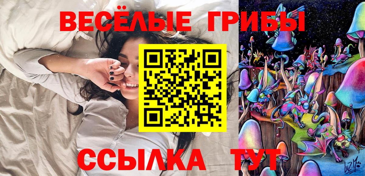Гуково  Галлюциногенные грибы Cubensis  Вход с VPN 