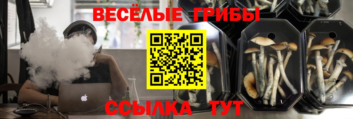 Галлюциногенные грибы MAGIC MUSHROOMS Гуково